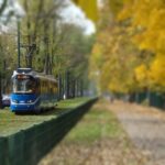 czy kanary pracuja w niedziele i swieta